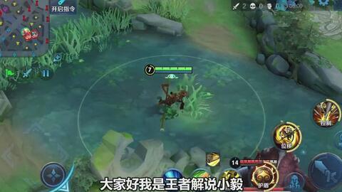 小飞棍王者爆料视频,独家爆料视频深度解析