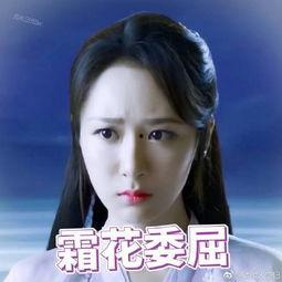 杨紫爆料润玉视频大全下载 第1张 杨紫爆料润玉视频大全下载 第1张