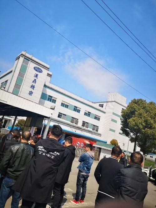 江苏昆山爆料事件最新,真相与争议交织的悬疑剧 第1张 江苏昆山爆料事件最新,真相与争议交织的悬疑剧 第1张